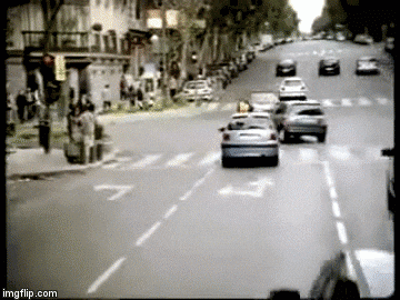Bus Driver monkey