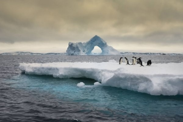 Ice melting arctic