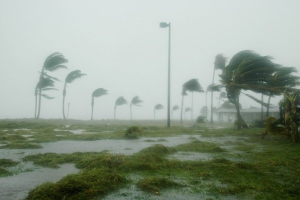 050709-N-0000B-004 Key West, Fla. (July 10, 2005) – Hurricane Dennis batters palm trees and floods parts of Naval Air Station (NAS) Key West’s Truman Annex. The storm passed within 125 miles of the base, clocking winds in excess of 90 miles an hour and dumping more than seven inches of rain before moving north through the Gulf of Mexico. U.S. Navy ships have been sortied out of Naval Station Pascagoula, with evacuation ordered for all but essential personnel from Naval Air Station Pensacola, Fla., ordered Friday, July 8. A day after the storm passed, power was back to more than three-quarters of the 428,000 Key West homes and businesses who had outages when Dennis' eye passed 125 miles to the west of the island a day earlier. Atlantic hurricane season began June 1 and ends Nov. 30. U.S. Navy photo by Jim Books (RELEASED)