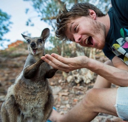 allan dixon animal selfie 11