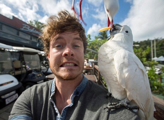 allan dixon animal selfie 12