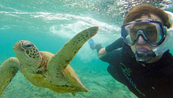 allan dixon animal selfie 13