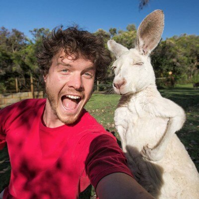allan dixon animal selfie 2