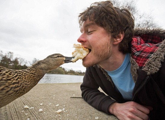 allan dixon animal selfie 6