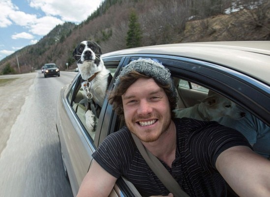 allan dixon animal selfie 7