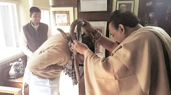 snake in bihar