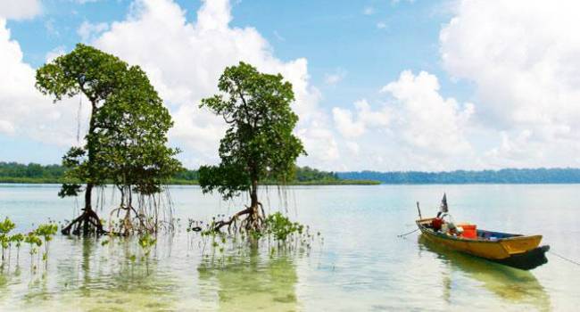 Top 10 honeymoon destinations in India to choose from Top 10 honeymoon destinations in India to choose from