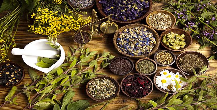 5 herbs and natural ingredients for a healthy digestive system 5 herbs and natural ingredients for a healthy digestive system