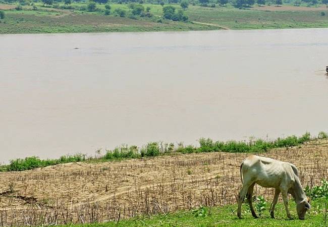 चंबल नदी