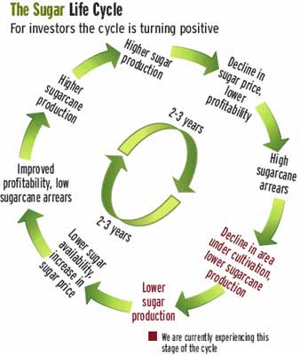 The Sugar Life Cycle