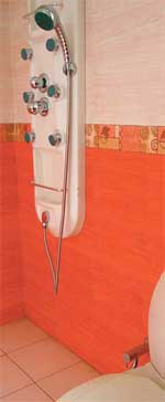 Save on bathroom cost