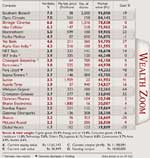 The Wealth Zoom Portfolio