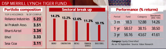 DSP Merrill Lynch Tiger Fund