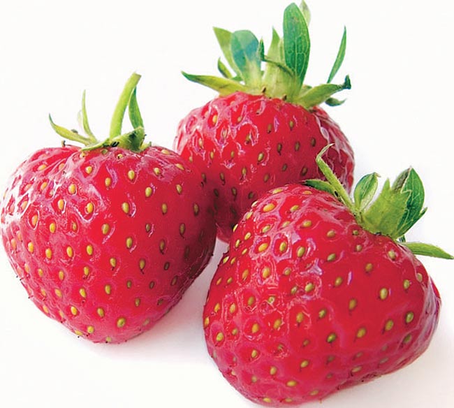 Top 5 fruits to keep your teeth clean, healthy, and bright