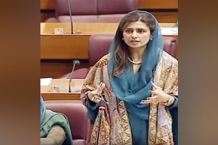 hina-23_750x500_022619073346.jpg