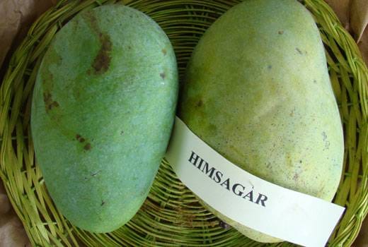 हिमसागर