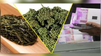 ये हैं दुनिया की 12 सबसे महंगी चाय, 9 करोड़ में मिलती है सिर्फ 1 किलो