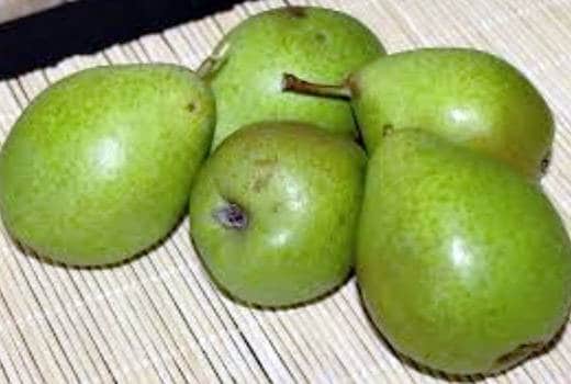 नाशपाती