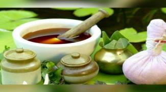 ये 5 हर्ब्स हैं बहुत फायदेमंद, जानें कैसे करें इनका इस्तेमाल