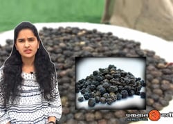 काली मिर्च के बारे में यह जान लेंगे तो खुद पर गर्व करेंगे