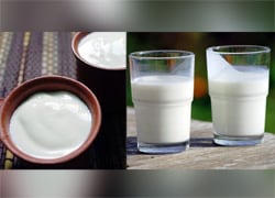 दवाईयां नहीं बल्कि खाएं ये चीजें, मिलेगा भरपूर कैल्शियम