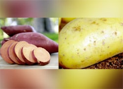 सफेद आलू या शकरकंदी (स्वीट पोटैटो), कौन सा है बेहतर?