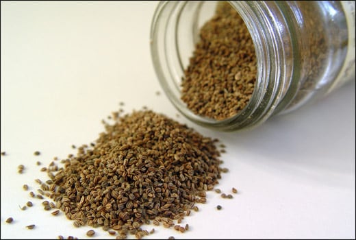 अजवाइन के ऐसे फायदे इससे पहले किसी ने आपको नहीं बताए होंगे - What are the  benefits fo aiwain carom seed for obesity ear pain sore throat sexuality  gas in hindi