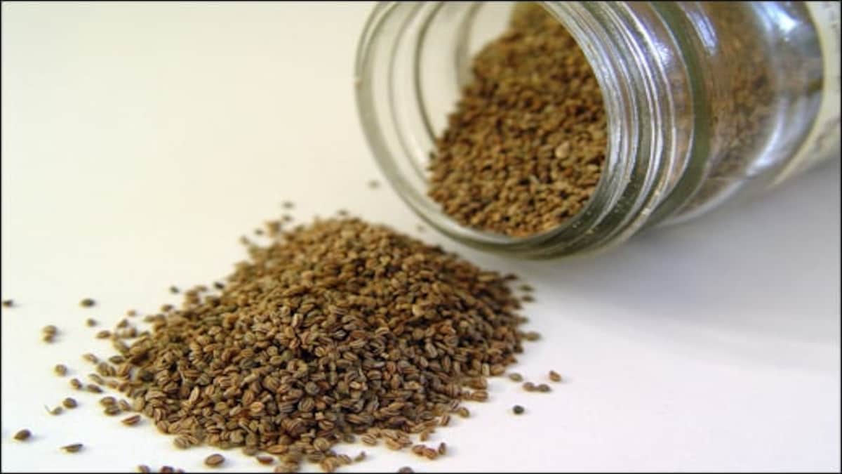 अजवाइन के ऐसे फायदे इससे पहले किसी ने आपको नहीं बताए होंगे - What are the benefits fo aiwain carom seed for obesity ear pain sore throat sexuality gas in hindi