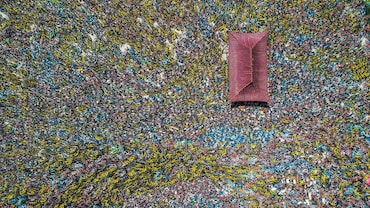In Pictures: China's Discarded Rental Bicycles