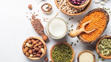 The Truth About Protein