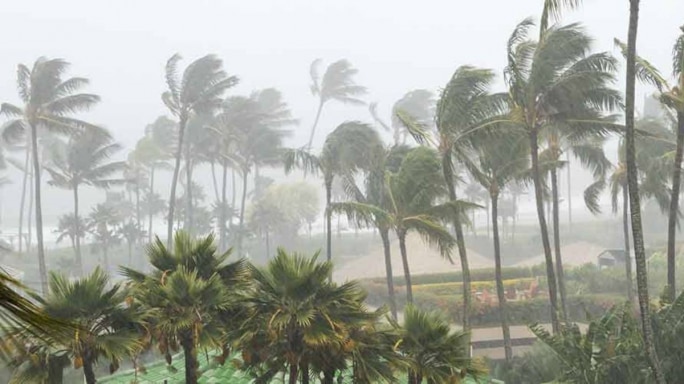 Cyclone Bulbul's Pakistan Connection