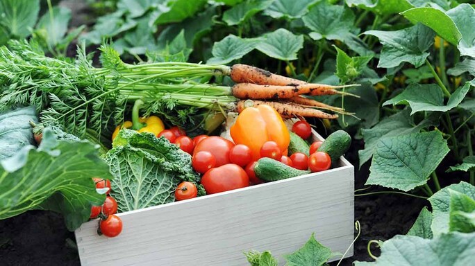 #HealthFix: Tips to Improve your Wellness Quotient