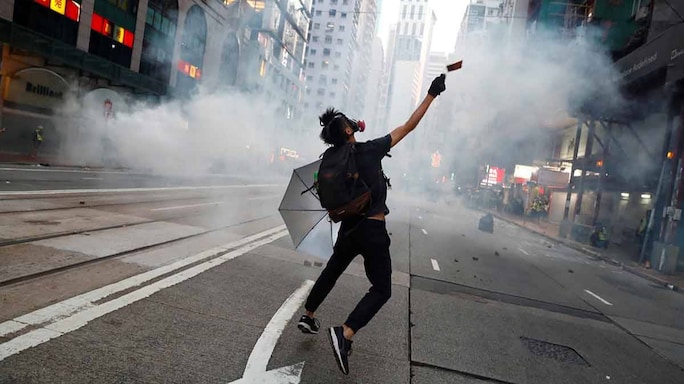 The Year Of The Fiery Citizen