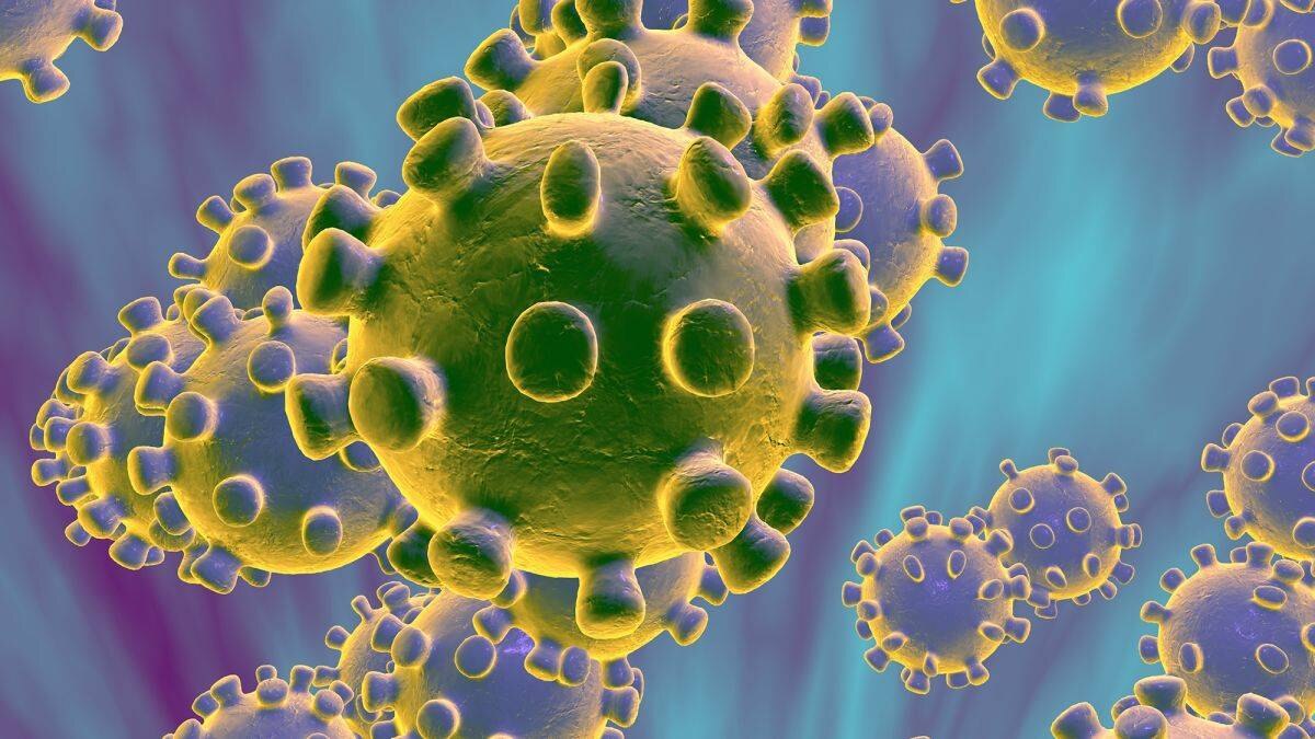 How The Coronavirus Disease Got A New Name