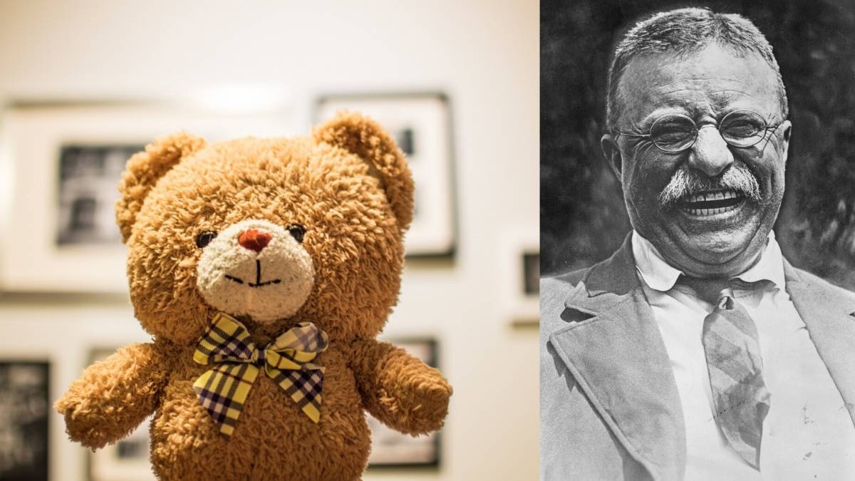 Teddy roosevelt bear story sales