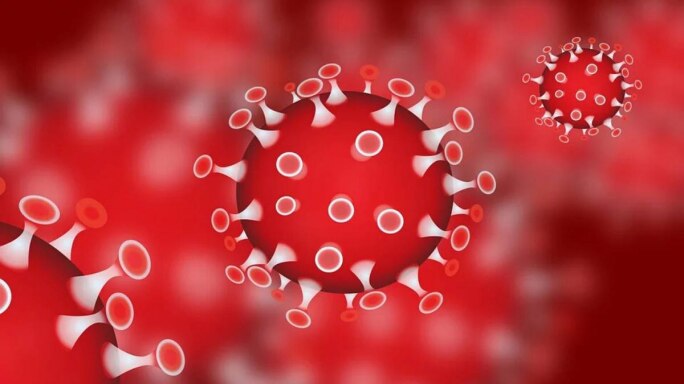 COVID-19 Coronavirus: Outbreak, Pandemic, Epidemic?