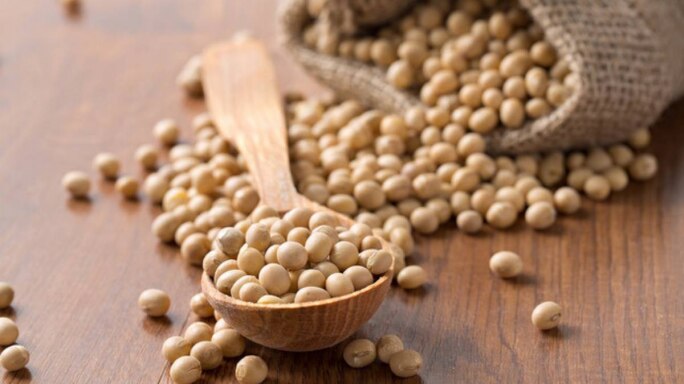Soya: The Wonder Bean Packed With Nutrients
