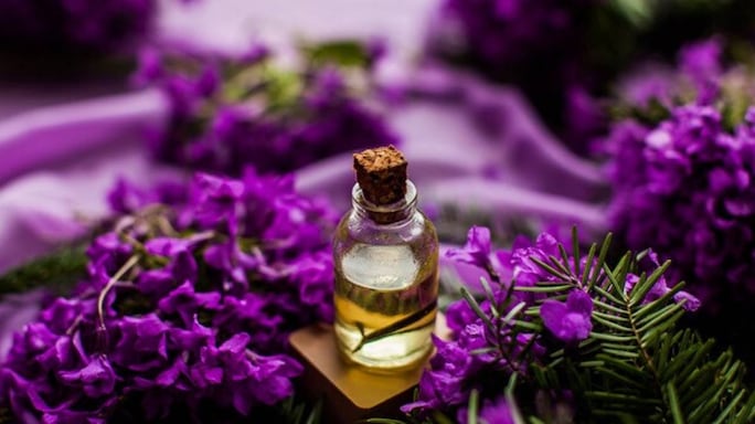 Feeling Tired After A Hard Day Of Work? These Essential Oils Can Help You Relax