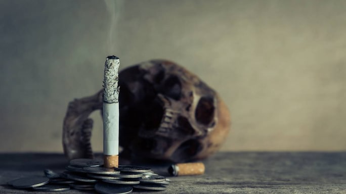 The Story Of Tobacco: 7 Interesting Facts About This Addictive Substance On No-Tobacco Day