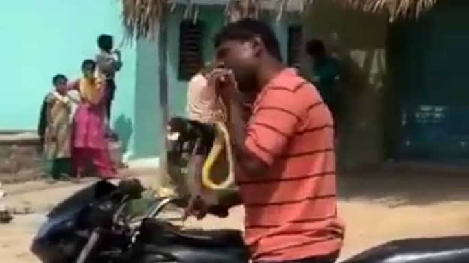 A Lesson In Decency, An Unlucky Viper And How To Dance Your Way Out Of A Jam