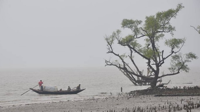 A Storm In The Sundarbans