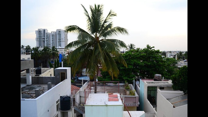 People Watching During Lockdown: Love, Joy And Drama On The Rooftops