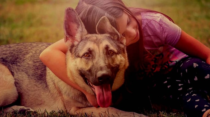 Lessons In Hope, Loyalty, Gratitude And Generosity You Can Learn From Your Beloved Pets