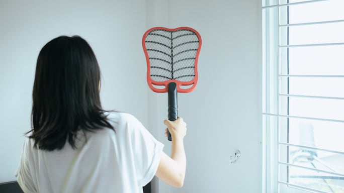 Troubled By Mosquito Bites? Fight The Pesky Insect With An Electric Bat