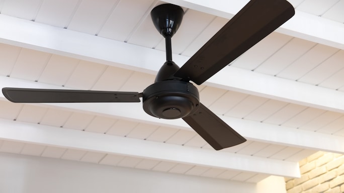 Planning To Buy A Ceiling Fan? This Guide Can Help You