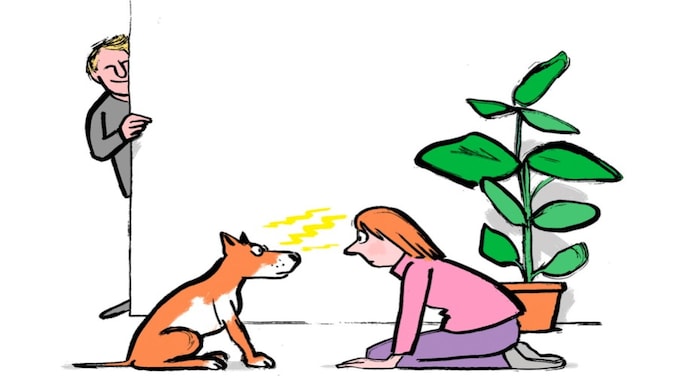 Telepathy with My Dog?