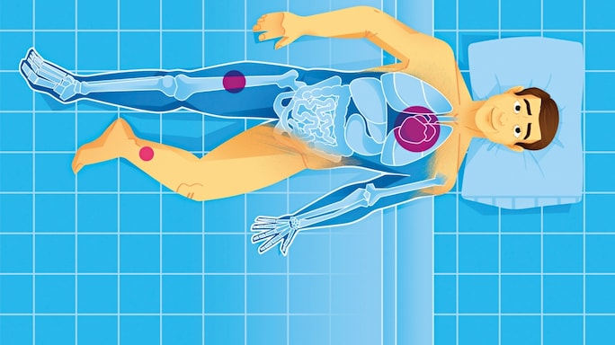 Your Body: A Maintenance Plan