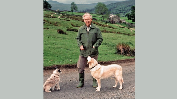 Man's Best Friends: From the Book James Herriot's Dog Stories