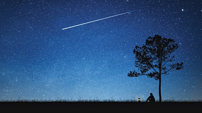 The Night the Stars Fell