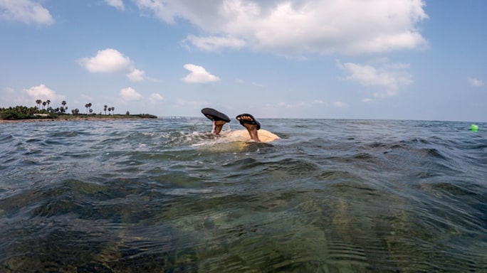Braving the Depths: Meet India's Women Seaweed Divers
